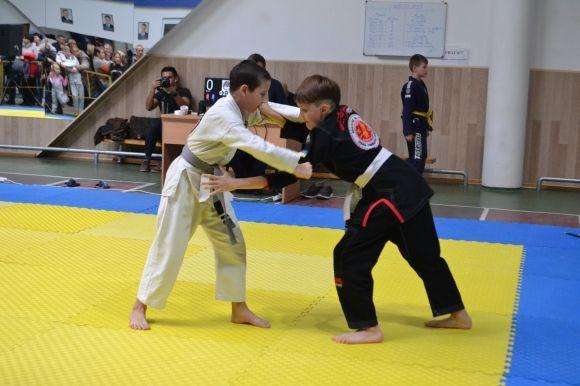 Куточок Бразилії у Хмельницькому: майже 300 спортсменів приїхали на чемпіонат з JIU-JITSU, фото №7 на сайті vsim.ua