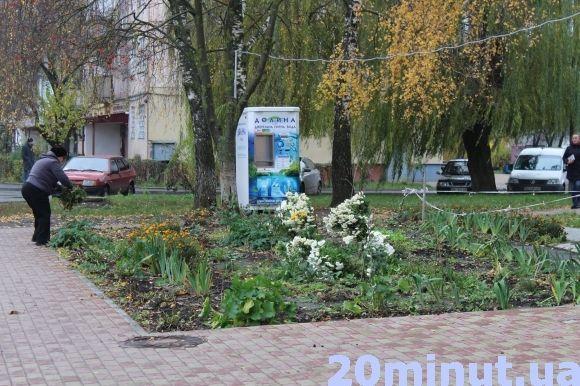 На Київській мешканці придумали, як боротися з собачим лайном на газонах, фото №1 на сайті 20minut.ua