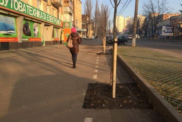 Фото дня. Їзда з перешкодами: розрили велодоріжку, щоб висадити на ній дерева на сайті 20minut.ua Фото дня. Їзда з перешкодами: розрили велодоріжку, щоб висадити на ній дерева, фото №4 на сайті 20minut.ua