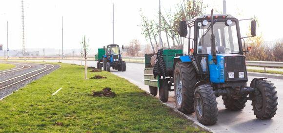 На Космонавтів висадили клени. А де ще посадять дерева? на сайті 20minut.ua На Космонавтів висадили клени. А де ще посадять дерева?, фото №2 на сайті 20minut.ua
