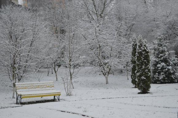 Хмельницький засніжило: як виглядає місто (ФОТО) на сайті vsim.ua Хмельницький засніжило: як виглядає місто (ФОТО), фото №6 на сайті vsim.ua