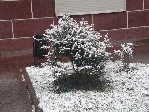 Хмельницький засніжило: як виглядає місто (ФОТО) на сайті vsim.ua Хмельницький засніжило: як виглядає місто (ФОТО), фото №7 на сайті vsim.ua