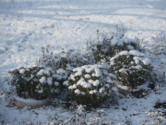 Хмельницький засніжило: як виглядає місто (ФОТО) на сайті vsim.ua Хмельницький засніжило: як виглядає місто (ФОТО), фото №4 на сайті vsim.ua