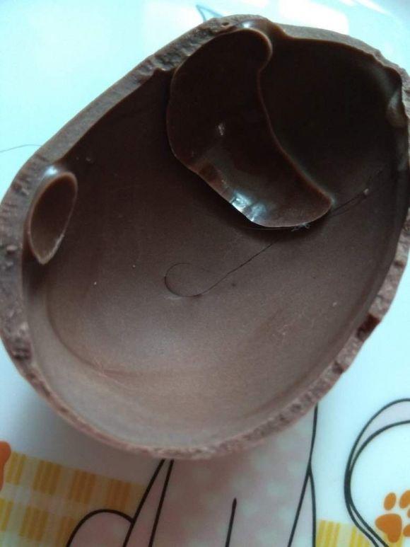 Сюрприз у «Kinder»: вінничанка знайшла в шоколадному яйці волосину, фото №1 на сайті 20minut.ua