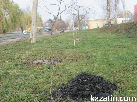Шило вилізло з мішка на сайті 20minut.ua Шило вилізло з мішка, фото №3 на сайті 20minut.ua