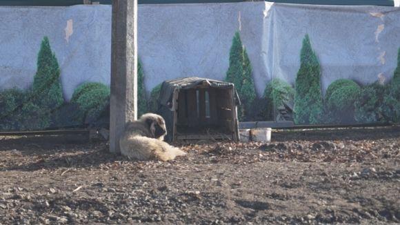 Цвинтар з «пропускним режимом» на Сабарові діючий: з’явилося п’ять могил. Що там відбувається? на сайті 20minut.ua Цвинтар з «пропускним режимом» на Сабарові діючий: з’явилося п’ять могил. Що там відбувається?, фото №4 на сайті 20minut.ua
