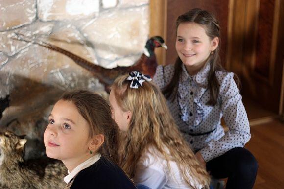 Похід у Музей лісу: зубрячі опудала, вовча підступність та лісове насіння, фото №15 на сайті 20minut.ua