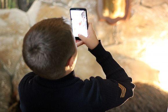 Похід у Музей лісу: зубрячі опудала, вовча підступність та лісове насіння, фото №8 на сайті 20minut.ua