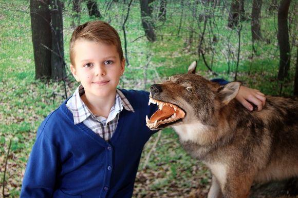 Похід у Музей лісу: зубрячі опудала, вовча підступність та лісове насіння, фото №16 на сайті 20minut.ua