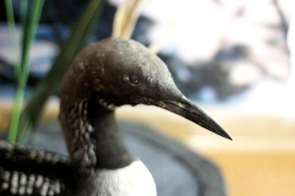 Похід у Музей лісу: зубрячі опудала, вовча підступність та лісове насіння, фото №13 на сайті 20minut.ua