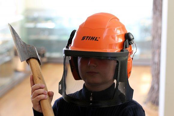 Похід у Музей лісу: зубрячі опудала, вовча підступність та лісове насіння, фото №18 на сайті 20minut.ua