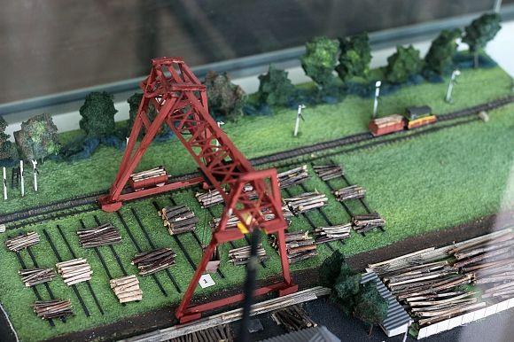 Похід у Музей лісу: зубрячі опудала, вовча підступність та лісове насіння, фото №19 на сайті 20minut.ua