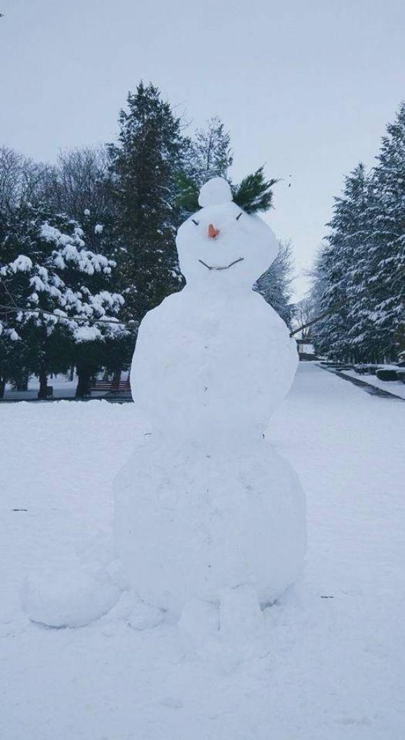 Тернополяни радіють зимі і масово ліплять сніговиків на сайті 20minut.ua Тернополяни радіють зимі і масово ліплять сніговиків, фото №6 на сайті 20minut.ua