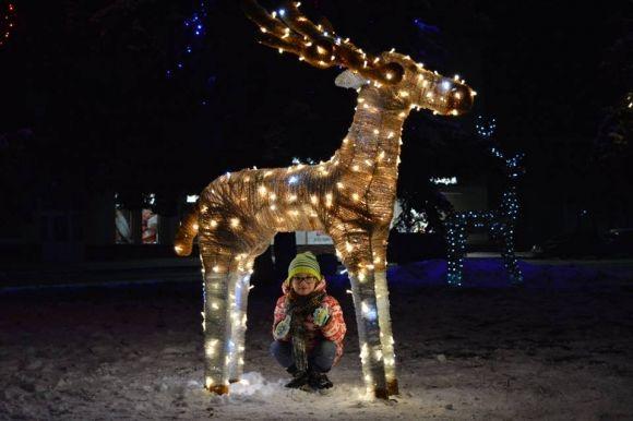 Збараж перетворили на зимову казку. Люди приємно вражені на сайті 20minut.ua Збараж перетворили на зимову казку. Люди приємно вражені, фото №4 на сайті 20minut.ua
