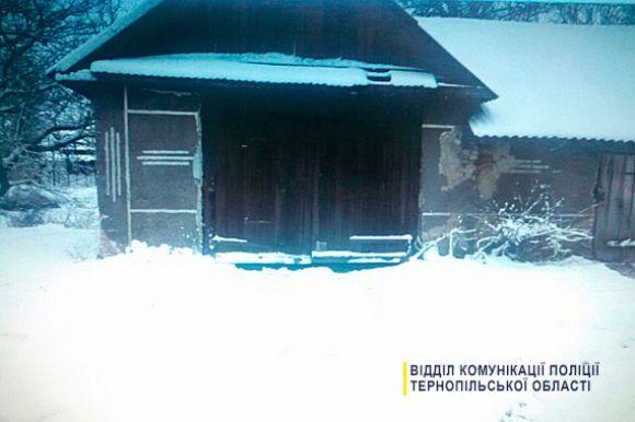 На Тернопільщині п'яний чоловік чистив сільські дороги від снігу на краденому тракторі, фото №1 на сайті 20minut.ua