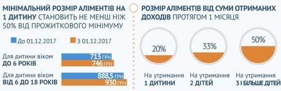 Нові правила вибивання аліментів: відберуть водійські права, зброю і посадять, фото №2 на сайті 20minut.ua