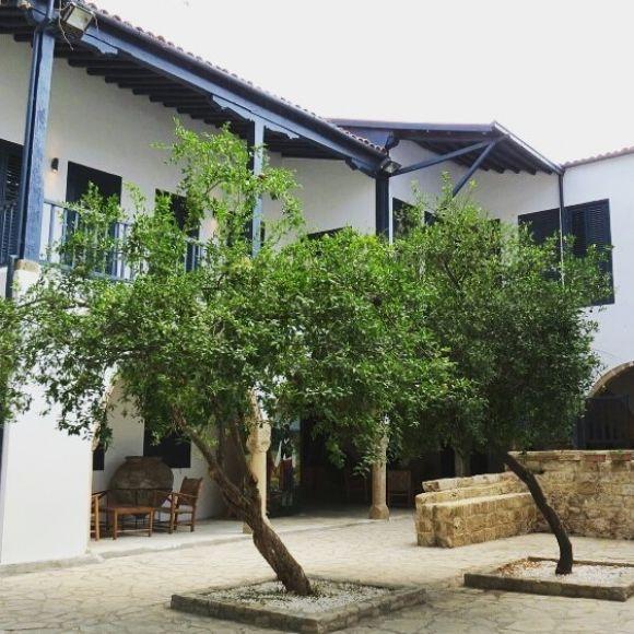 Волонтерила на Кіпрі два місяці. Їла кактуси та шинку за 50 центів, фото №5 на сайті 20minut.ua