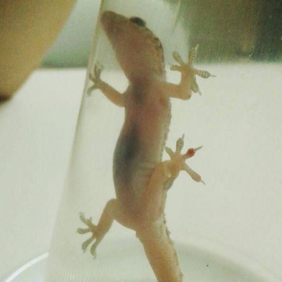 Волонтерила на Кіпрі два місяці. Їла кактуси та шинку за 50 центів, фото №4 на сайті 20minut.ua