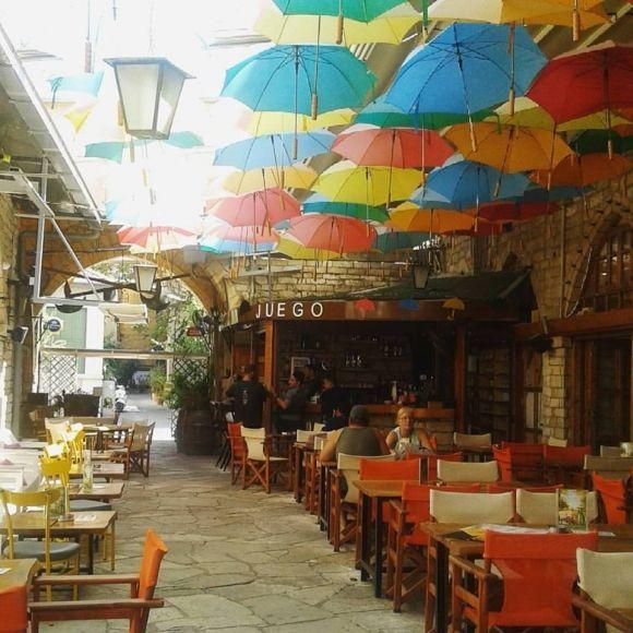 Волонтерила на Кіпрі два місяці. Їла кактуси та шинку за 50 центів, фото №1 на сайті 20minut.ua