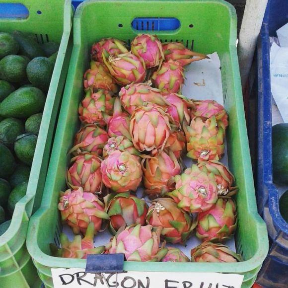 Волонтерила на Кіпрі два місяці. Їла кактуси та шинку за 50 центів, фото №6 на сайті 20minut.ua