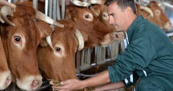 Особливості роботи зоотехніком — професія у галузі тваринництва на сайті 20minut.ua Особливості роботи зоотехніком — професія у галузі тваринництва, фото №1 на сайті 20minut.ua