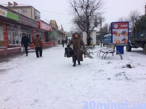 За скільки можна придбати ялинку у Кам’янці? (ФОТО), фото №1 на сайті 20minut.ua