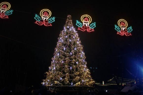 У кого горить яскравіше? Порівнюємо ялинки міст-сусідів на сайті vsim.ua У кого горить яскравіше? Порівнюємо ялинки міст-сусідів, фото №1 на сайті vsim.ua