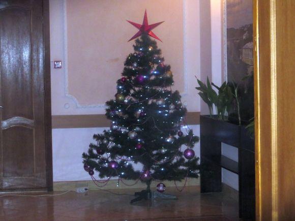 Перевіряємо хмельницькі їдальні: як годують чиновників у «Luxor Plaza» на майдані, фото №4 на сайті vsim.ua