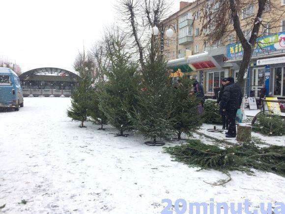 За скільки можна придбати ялинку у Кам’янці? (ФОТО), фото №4 на сайті 20minut.ua