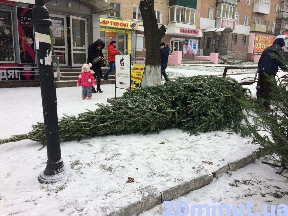 За скільки можна придбати ялинку у Кам’янці? (ФОТО), фото №8 на сайті 20minut.ua