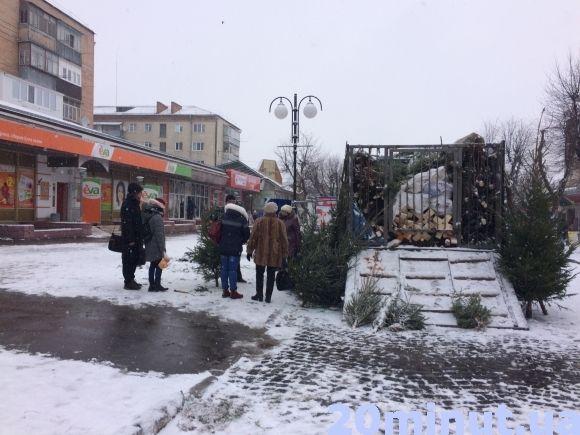 За скільки можна придбати ялинку у Кам’янці? (ФОТО), фото №3 на сайті 20minut.ua