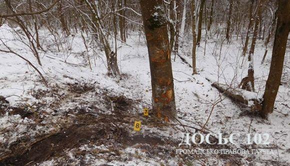 Смертельна аварія на Тернопільщині: від удару в дерево загинув 72-річний чоловік на сайті 20minut.ua Смертельна аварія на Тернопільщині: від удару в дерево загинув 72-річний чоловік, фото №1 на сайті 20minut.ua