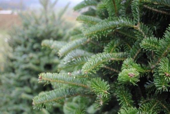 ТОП-5 новин тижня у Хмельницькому, які ви могли пропустити, фото №3 на сайті vsim.ua