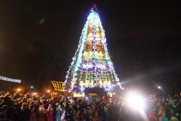 Ялинкова еволюція. Як виглядало головне новорічне вінницьке дерево у різні роки, фото №5 на сайті 20minut.ua