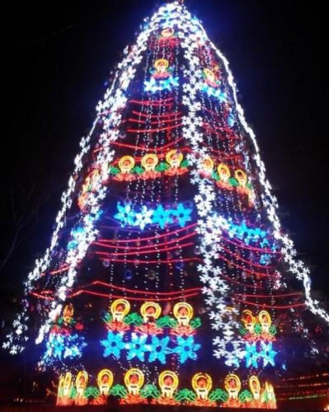 Ялинкова еволюція. Як виглядало головне новорічне вінницьке дерево у різні роки, фото №1 на сайті 20minut.ua