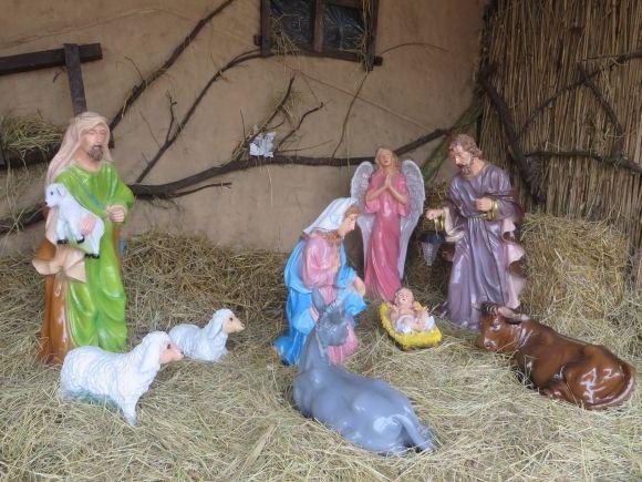 Живі овечки і декорації: в костелах Хмельницького встановили різдвяні вертепи, фото №1 на сайті vsim.ua