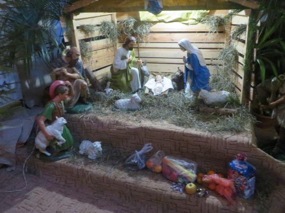 Живі овечки і декорації: в костелах Хмельницького встановили різдвяні вертепи, фото №2 на сайті vsim.ua