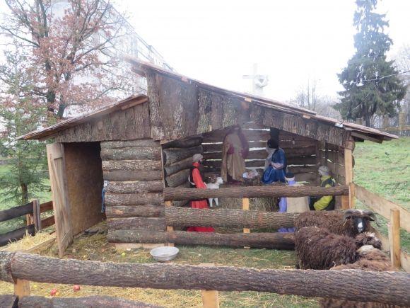 Живі овечки і декорації: в костелах Хмельницького встановили різдвяні вертепи, фото №3 на сайті vsim.ua