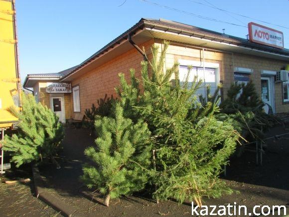 Свято в душі і на клендарі, а на асфальті — біда. Дивись під ноги!, фото №1 на сайті 20minut.ua