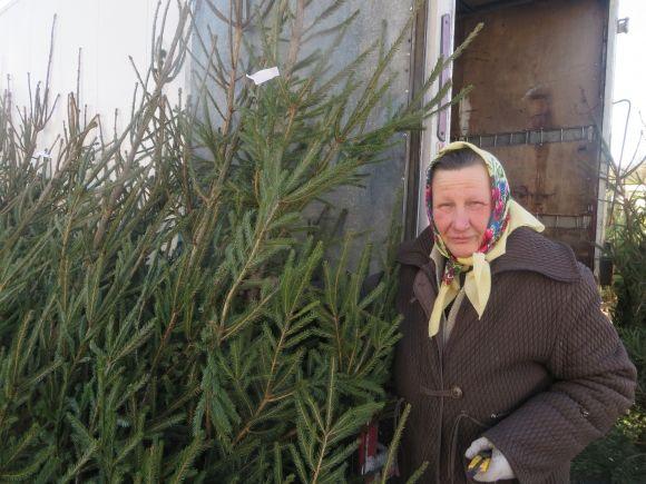 Щоб стояла довше! Поради продавців з ялинкових базарів, фото №2 на сайті vsim.ua