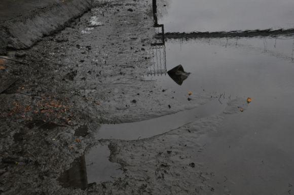 Что вызвало экологическую катастрофу на реке Тетерев? Видео, фото №4 на сайті 20minut.ua