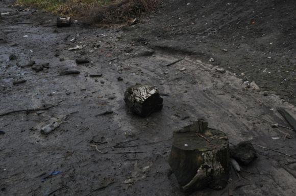 Что вызвало экологическую катастрофу на реке Тетерев? Видео, фото №1 на сайті 20minut.ua