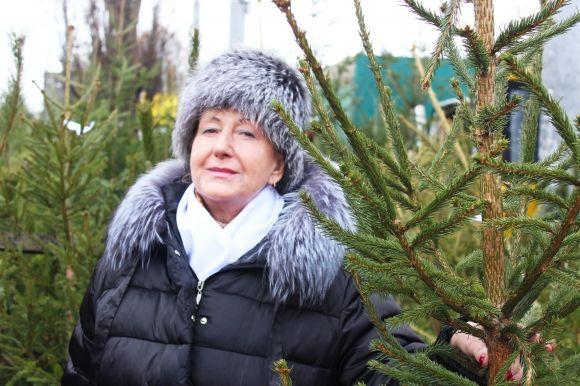 Новий рік без “крові”: де у місті можна придбати ялинку у горщику? на сайті 20minut.ua Новий рік без “крові”: де у місті можна придбати ялинку у горщику?, фото №1 на сайті 20minut.ua