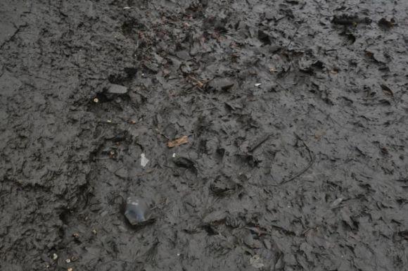 Что вызвало экологическую катастрофу на реке Тетерев? Видео, фото №5 на сайті 20minut.ua