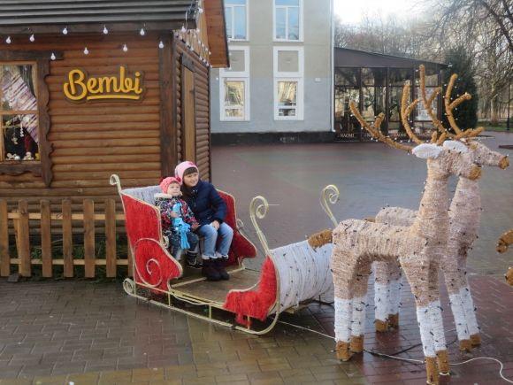 Смітник з ялинок і пусті вулиці: як виглядає центр Хмельницького після новорічного святкування (ФОТО) на сайті vsim.ua Смітник з ялинок і пусті вулиці: як виглядає центр Хмельницького після новорічного святкування (ФОТО), фото №13 на сайті vsim.ua