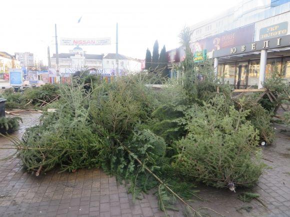 Смітник з ялинок і пусті вулиці: як виглядає центр Хмельницького після новорічного святкування (ФОТО), фото №1 на сайті vsim.ua
