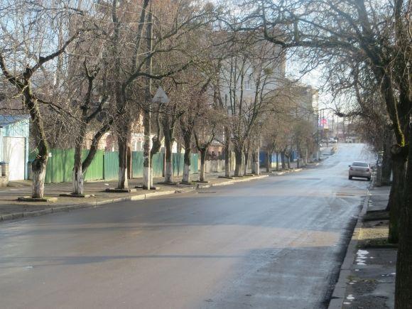 Смітник з ялинок і пусті вулиці: як виглядає центр Хмельницького після новорічного святкування (ФОТО) на сайті vsim.ua Смітник з ялинок і пусті вулиці: як виглядає центр Хмельницького після новорічного святкування (ФОТО), фото №2 на сайті vsim.ua