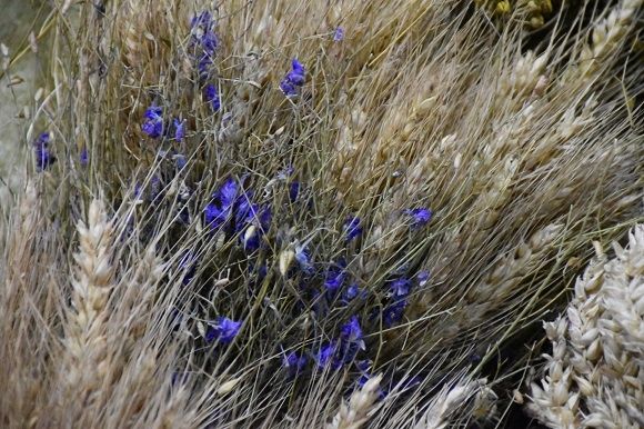 У Вінниці на виставці представили близько 30 дідухів з усієї області, фото №2 на сайті 20minut.ua