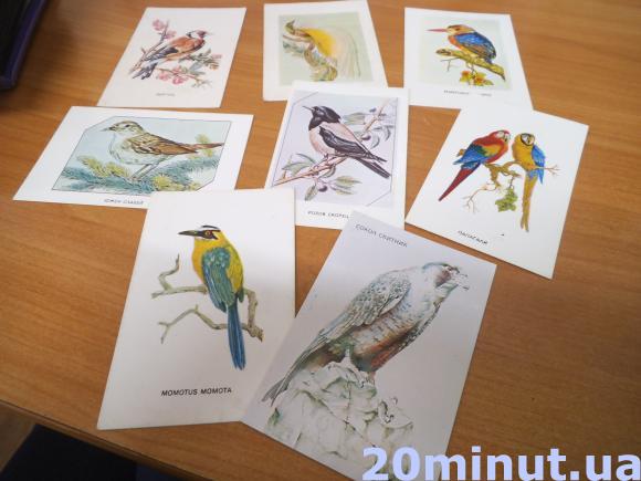 Колекцію календариків віддала в музей на сайті 20minut.ua Колекцію календариків віддала в музей, фото №11 на сайті 20minut.ua