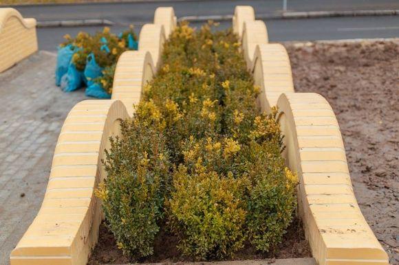 Реконструкція проспекту Космонавтів виконана на 94%. Що там уже є?, фото №5 на сайті 20minut.ua